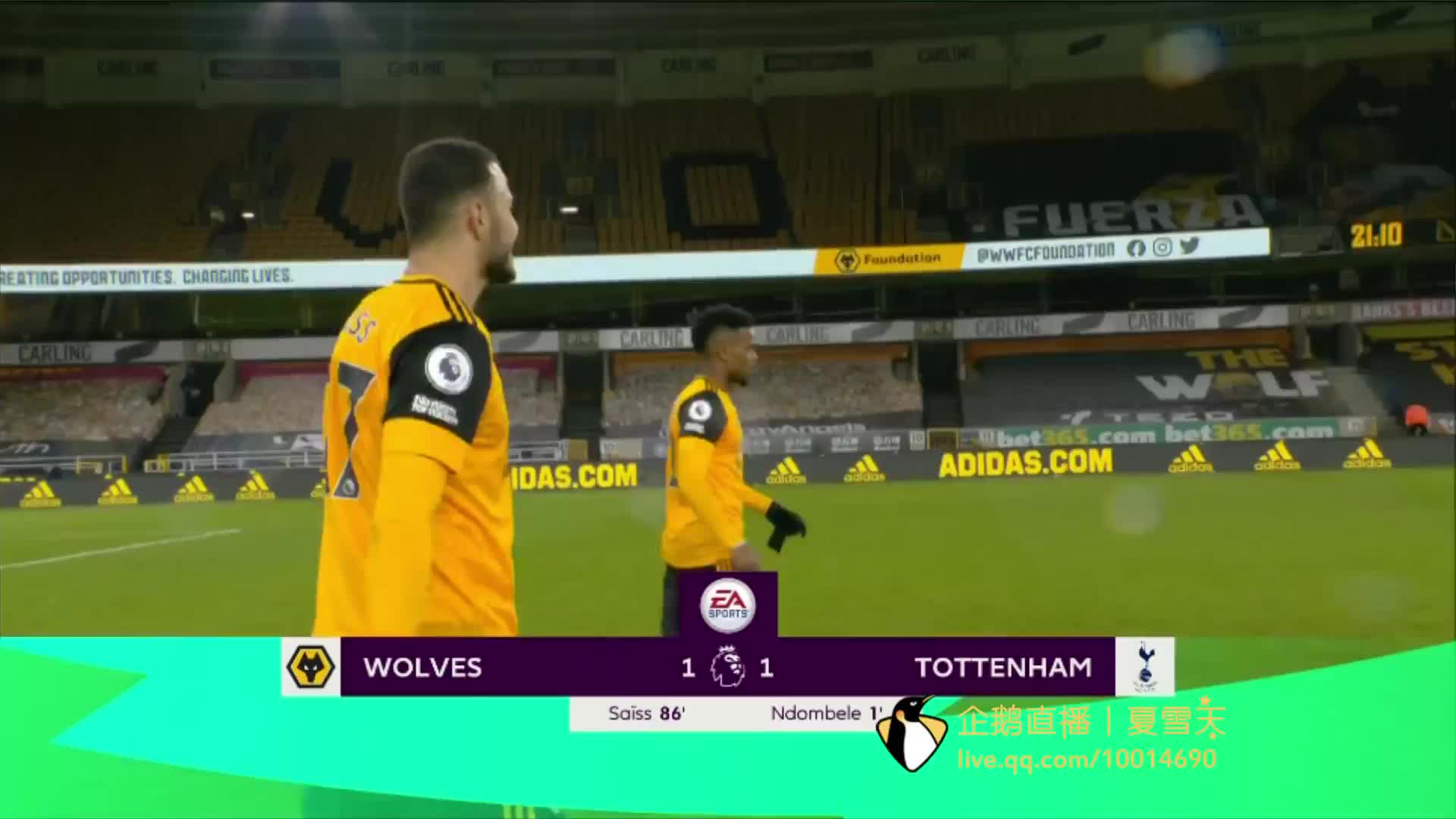 球迷的关注 球迷的关注